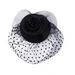 Republic Of China Style Hair Accessories - Bridal Veil Headdress With Mesh Hat & Hairpin Retro Cheongsam Dress Photo Props_viptrois.com