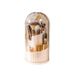 Makeup Tools & Accessories Storage Tube Rotating Dust Proof Dressing Table Cosmetics Storage Box With Lid Lipstick Rack Desktop Pen Holder_viptrois.com