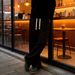 Men's Versatile Trendy Style Casual Trousers Spring Autumn Thin Wide Leg Cotton Linen Long Straight Leg Sports Bottoms_viptrois.com