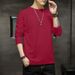 2025 New Spring Round Neck Long Sleeve T-Shirt Slim Fit Solid Color Base Shirt Casual Versatile Pullover For Men_viptrois.com