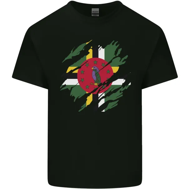 Torn Dominica Flag Dominican Day Football T-Shirt Mens Womens Tees Top Childrens_viptrois.com