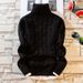 Men's Clothing Autumn New Supply Men's Sweater Teenager Solid Color Twisted Thick High Collar Sweater_viptrois.com