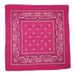 Unisex Polyester 54x54 cashew nut flower amoeba square Hip Hop hop riding bandana sunflower seed flower handkerchief_viptrois.com