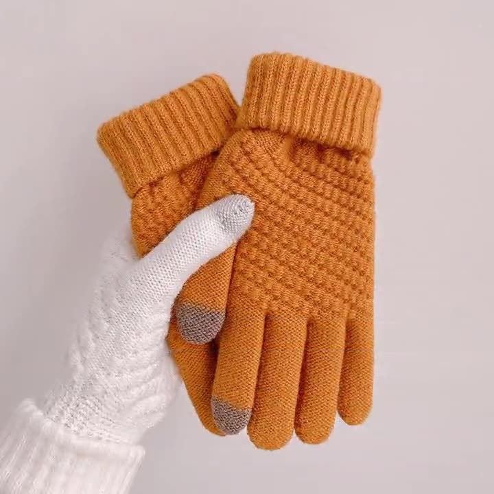 Winter new pineapple style cashmere full finger touch screen knitted warm jacquard fashion plus velvet thickened wool gloves_viptrois.com