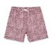 Men's Clothing Have Triangle Net Leopard Cashew Rainbow Printed Beach Pants_viptrois.com