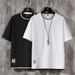 Men's Clothing Short Sleeved T Shirt Men's Two Piece 2024 Summer T Shirt Loose Round Neck Casual Short Sleeved_viptrois.com