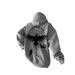 European And American New Printed Viking Viking Hooded Sweater Over Size Loose Hoodie_viptrois.com