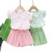 Mother & Kids Girls Summer Clothes New Style Girls Short Sleeved Suits Girls Shorts Suits Summer Children's Clothing Girls New Two Piece Suits_viptrois.com