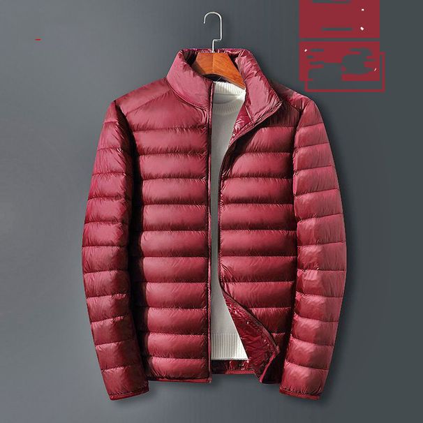 "Men's Lightweight Hooded Down Jacket, 550FP White Duck Down Filled, Waterproof & Breathable Slim-Fit Winter Coat_viptrois.com