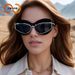 Two Circles New Cat Eye Double Frame Sunglasses For Women Personality Exaggerated Hip Hop Sunglasses_viptrois.com