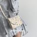 Women's Bags Summer Simple Small Bag For Women New Fashion Net Celebrity Women's Bag Casual Shoulder Bag Versatile Crossbody Woven Bag_viptrois.com