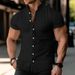 Men's Clothing Short Sleeved Cool Stand Up Collar Handsome Trend Summer Shirt Tops_viptrois.com