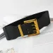 HOT High Quality Retro Elastic Wide Belt Gold Buckle Ladies Fashion Suit Coat Girdle Waist Belts for Women Designer Brand_viptrois.com