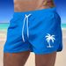 Men's Clothing Summer Beach Shorts Men's Sports Pants Fashionable Quick Drying Travel Polyester Multi Color Printing Can Be Printed With LOGO_viptrois.com