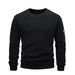 Men's Clothing Autumn And Winter New European And American Men's Polar Fleece Casual Solid Color Sweatshirt Youth Fashion Long Sleeved Sports Jacket_viptrois.com