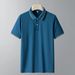 Men's Clothing New Style Ice Silk Short Sleeved Polo Shirt Men's Quick Drying Solid Color Lapel T Shirt Mesh Breathable Polo Shirt_viptrois.com