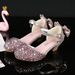 Girls High Heels Little Princess Performance Leather Shoes Silver Children's Matching Dress Middle And Large Children Catwalk Stage Crystal Shoes_viptrois.com