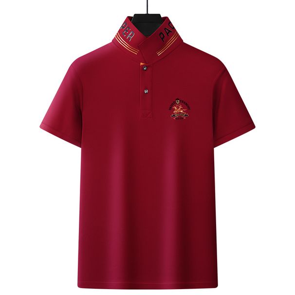 Men's Clothing Men's Stand Up Collar Polo Shirt Men's Summer High End Light Luxury Cool Feeling T Embroidery Collar Short Sleeved Men's T Shirt_viptrois.com