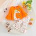 Kids’ Clothing Specially Supply The New Ins Hot Selling Baby Girl Long Sleeved Embroidered Tops And Flower Print Trousers_viptrois.com