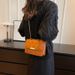 Mini Bag Fashion Simple Handbag Autumn New Style Casual Western Style Shoulder Bag Simple Fashion Small Square Messenger Bag Trend_viptrois.com
