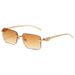 CHEETAH GLAM - Frameless Square Sunglasses (UV400 Protection, Fashion Metal Accents, Hot Seller)_viptrois.com