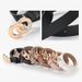 2024 Spring Hong Kong Fashion Chain Buckle Women's Belt Button Decoration Jeans Dress Women's Solid Color Simple Versatile Belt_viptrois.com