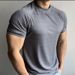 Men's Clothing Summer Sports Outdoor Training Short Sleeved Slim Elastic Quick Drying Raglan Sleeves Small Collar Solid Color Breathable Tide T Shirt_viptrois.com