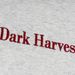 American Style Knight Embroidered Letter Hoodie Trendy Loose Pullover Sweatshirt Men's Spring And Autumn Wear_viptrois.com