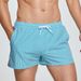 Men's Clothing Beach Pants Classic Thin Vertical Stripes Home Pants Casual Shorts Fashion Surf Shorts Swimming Trunks_viptrois.com