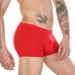 Pulse Men's Ice Silk Underwear With U-Convex Sexy European And American Style Hot-Selling Boxer Briefs Thin Cup_viptrois.com