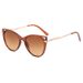 Personalized Fashion Cat Eye Sunglasses Catwalk Sunglasses TR Frame Metal Leg Glasses_viptrois.com