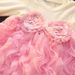 Children's Clothing For Girls, Internet Celebrity Princess Dress, Baby Girl, Fashionable Dress, Evening Dress, One Year Old Clothing, Skirt Wholesale_viptrois.com