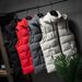 Men's Clothing Detachable Hat Autumn And Winter Men's Sleeveless Cotton Vest Warm Thick Men's Coat Vest_viptrois.com