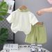 Boys' Clothes, Little Lion Short Sleeved New Style, Boys' Summer Children's Two-piece Set, Stylish_viptrois.com