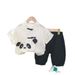 Kindergarten Children's Day Performance 2025 Summer New For Boys Girls Chinese Style Panda Bamboo Leaf Hanfu Brother And_viptrois.com