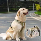 Collar & Leash Sets_viptrois