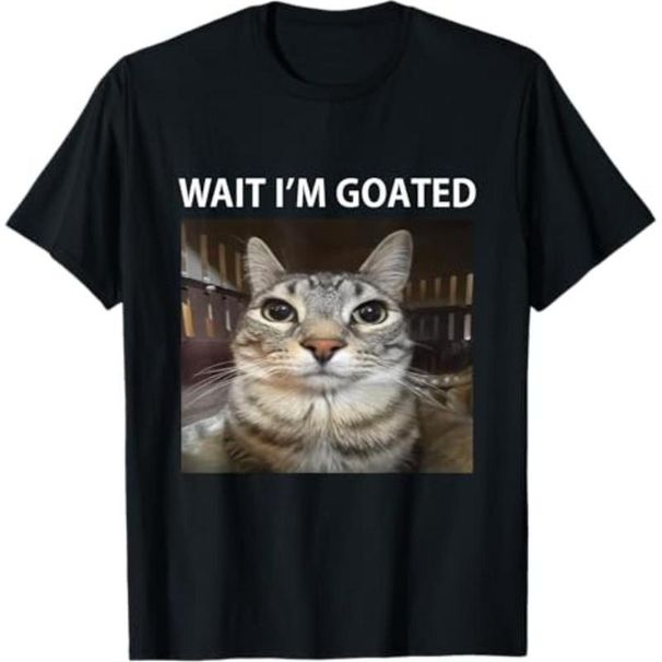 Camisetas Verano Espera, Soy Un Caballo, Camiseta Meme De Gato Tonto_viptrois.com