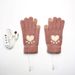 Heating Gloves 5-finger electric touch screen gloves Adult student jacquard bear paw pattern available in USB3 gear_viptrois.com