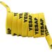 Double Polyester Flat Shoelaces YESAR Letter Print Casual All-match High-low Canvas Shoe Shoelaces_viptrois.com