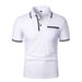 New Men's Short Sleeve Polo Shirts Solid Color Casual T-shirt Summer Trendy Breathable Loose Basic Splice Top Pockets Men Shirts_viptrois.com