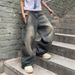 2025 Spring And Autumn New Street Style Trendy Brand Washed Design Jeans Loose Floor-Length Wide-Leg Pants_viptrois.com