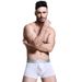 Pulse Bullet Men's Scrotum Support Ice Silk Pouch Boxer Briefs U Convex Separation Four-Corner Underwear_viptrois.com