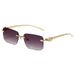 CHEETAH GLAM - Frameless Square Sunglasses (UV400 Protection, Fashion Metal Accents, Hot Seller)_viptrois.com