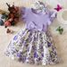 Kids’ Clothing Summer New Round Neck Flying Sleeve Dress Fashion Printed Dress Girl Birthday Party Dress_viptrois.com
