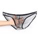 Pulse Comrade Men's Underwear Export European And American Style See-through Fine Mesh Pouch Low Waist Briefs Plus Size C-034_viptrois.com