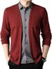 CT Spring And Autumn Fashion Men's Clothing Two-Piece Shirt Collar Knitted New Long Sleeve Slim Fit Casual Cardigan_viptrois.com