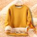 Fleece Sweater Men's Thickened Winter 2022 New Youth Warm Lamb Wool Men's Jacket Autumn And Winter Base 12_viptrois.com