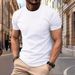2025 High End Mesh Ice Silk Short Sleeve Men's Round Neck Summer Solid Color New Nylon Smooth Material T-shirt_viptrois.com