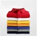 Luxurious Men's T-shirt - Designer Polo Shirt - High Street Embroidery - Alligator Print - Clothing - Men's Brand Polo Shirt_viptrois.com