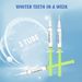 15 Pcs PAP Dental Oral Care Teeth Whitener Bleaching Gel Tooth Whitening Kit cleaner_viptrois.com
